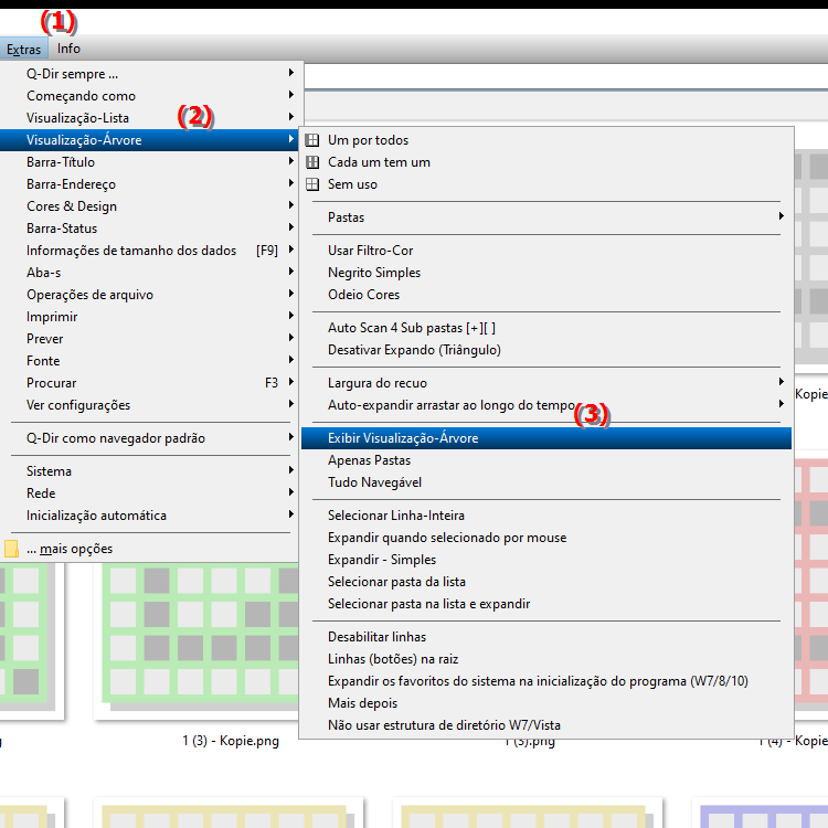 Como habilito a visibilidade de diretórios na estrutura de diretórios do File Explorer